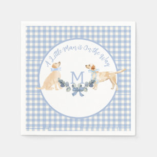 Serviette En Papier Affiche de bienvenue Baby shower bleu et blanc En