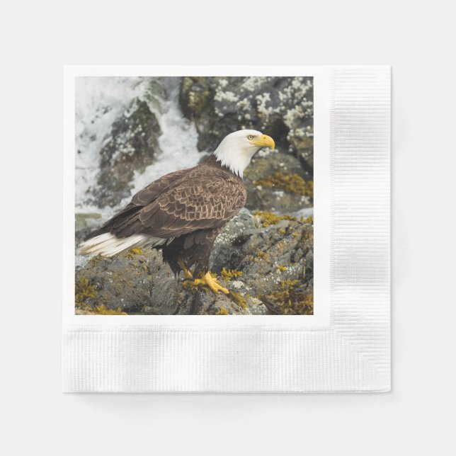 Serviette En Papier Aigle à tête blanche (Devant)