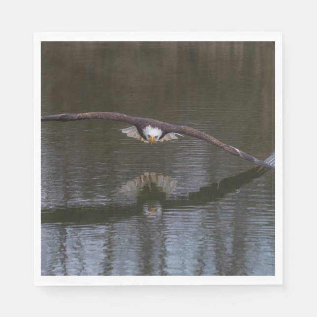 Serviette En Papier Aigle à tête blanche en vol (Devant)