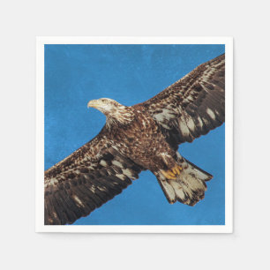 Serviette En Papier Aigle à tête blanche subadulte en vol