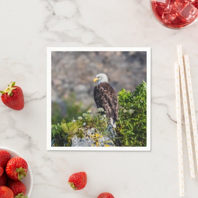 Serviette En Papier Aigle bald assis sur le rocher (En situation)