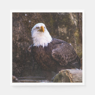 Serviette En Papier Aigle de Bald