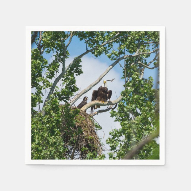 Serviette En Papier Aigles chauds (Devant)