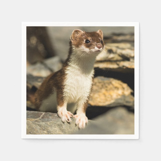 Serviette En Papier Alerte Weasel (Devant)