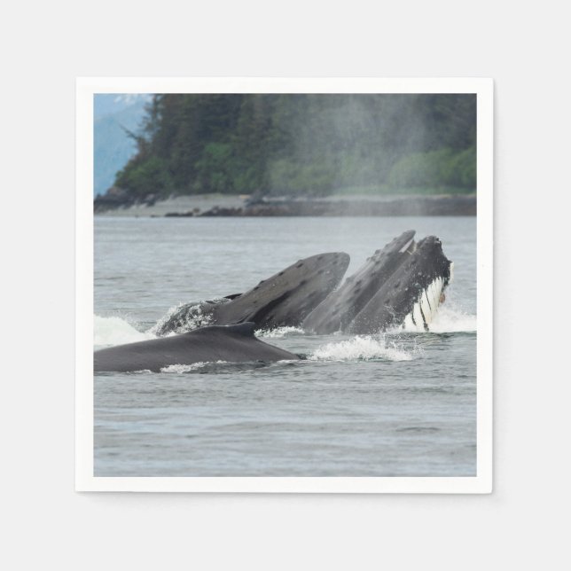 Serviette En Papier Alimentation des baleines à bosse (Devant)