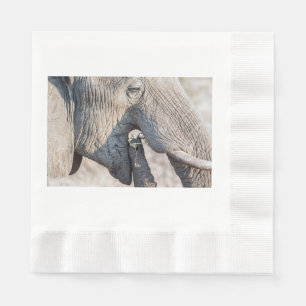 Serviette En Papier Alimentation des éléphants