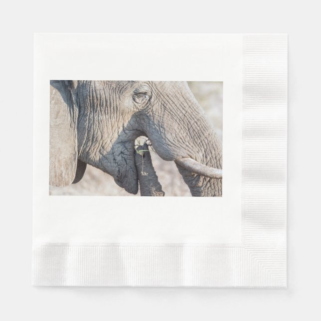 Serviette En Papier Alimentation des éléphants (Devant)
