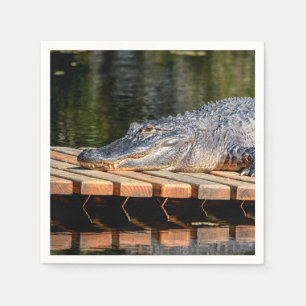 Serviette En Papier Alligator at Homosassa Springs Wildlife State Park
