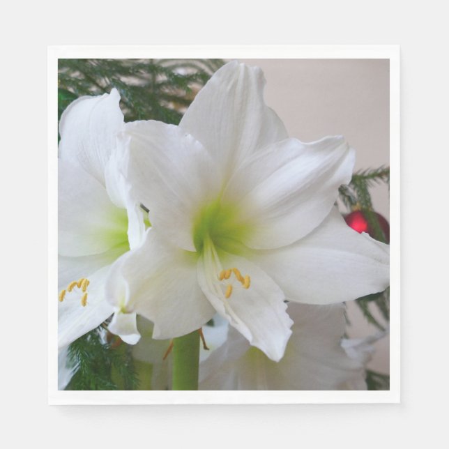 Serviette En Papier Amaryllis blanc et sapin de Noël (Devant)