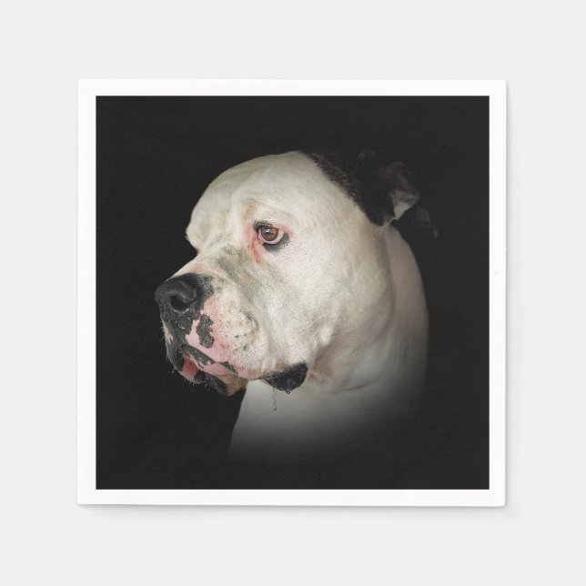 Serviette En Papier American Bull Dog Portrait (Devant)