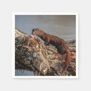 Serviette En Papier American Mink