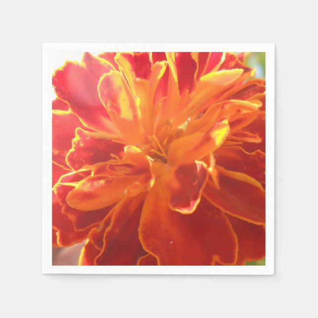 Serviette En Papier Anastaise (Devant)