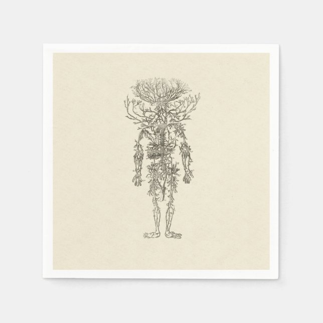 Serviette En Papier Anatomie humaine Les Artères Illustration antique (Devant)