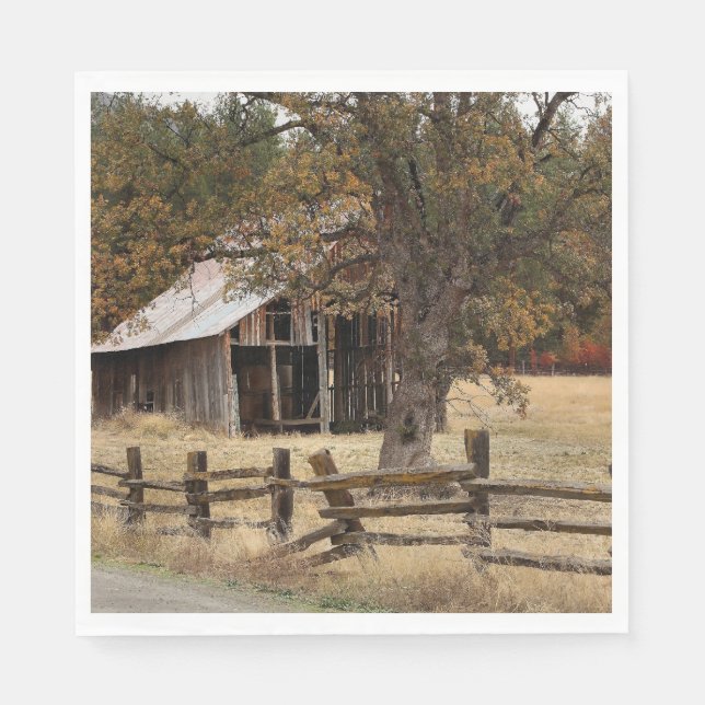 SERVIETTE EN PAPIER ANCIENNE GAILLE (Devant)