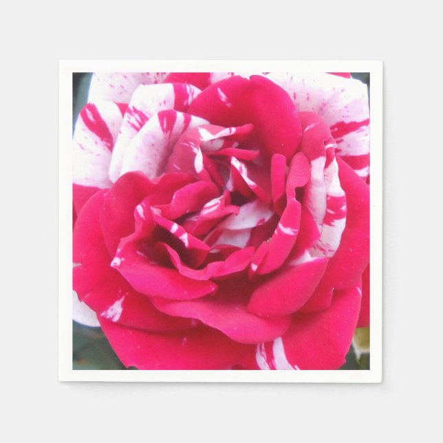 Serviette En Papier Anicia (Devant)