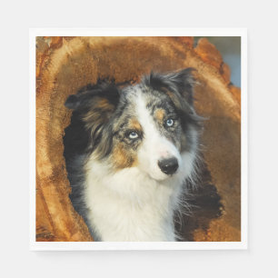 Serviette En Papier Animal familier bleu de photo de tête de chien de