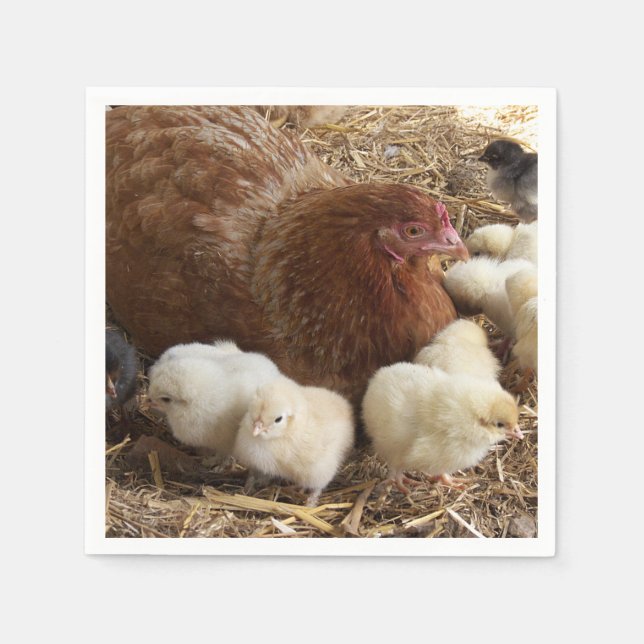 Serviette En Papier animal, poulet, ferme, mignonette, oiseau, bébé, (Devant)
