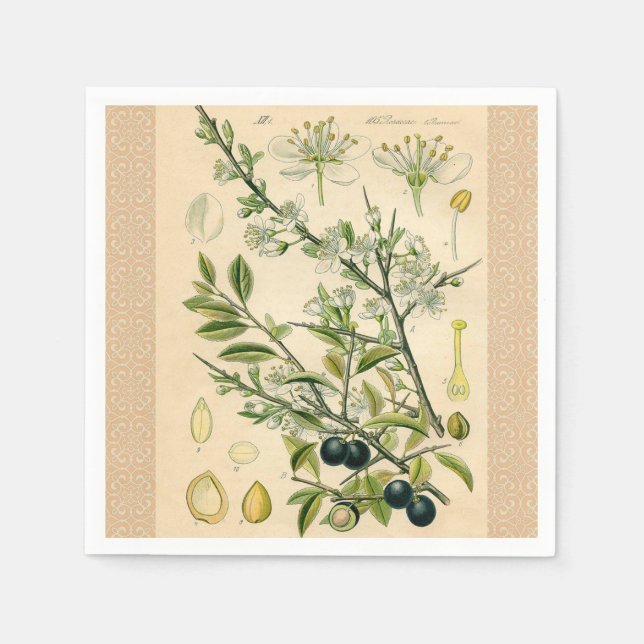 Serviette En Papier Antique Blackthorn Botanique Imprimé Fleur Berry (Devant)