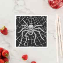Araignée vintage tissant une toile