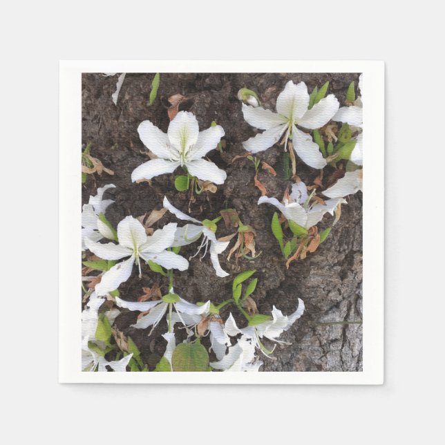 Serviette En Papier Arbre (Devant)