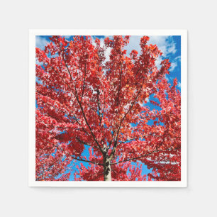 Serviette En Papier Arbre à feuilles rouges à l'automne