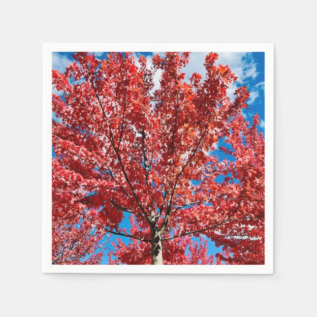 Serviette En Papier Arbre à feuilles rouges à l'automne (Devant)