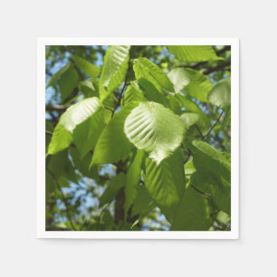 Serviette En Papier Arbre vert Feuille à bouleau printanier