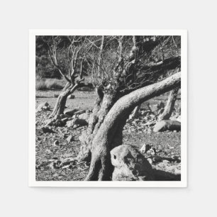 SERVIETTE EN PAPIER ARBRES NOIRS ET BLANCS