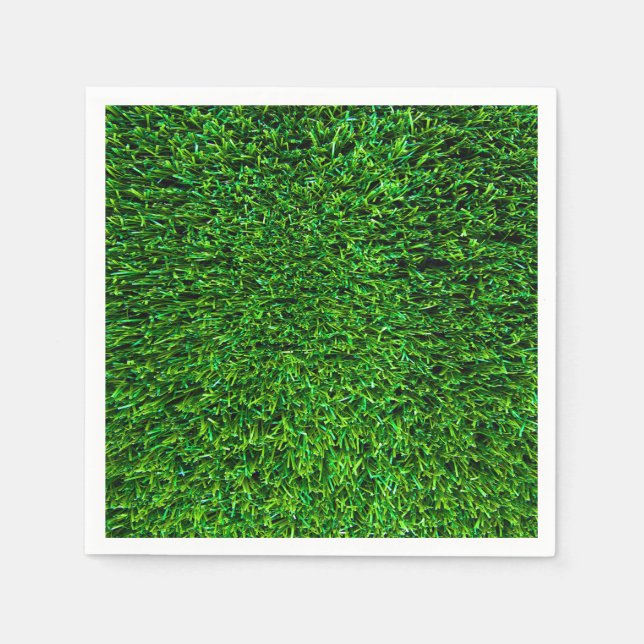 Serviette En Papier Arrière - plan vert (Devant)