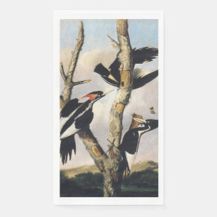 Serviette En Papier Art Audubon vintage Pic à bec ivoire