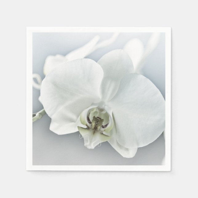 Serviette En Papier Art botanique de l'orchidée blanche élégante (Devant)