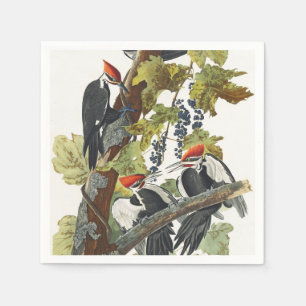 Serviette En Papier Art vintage d'oiseau pic à tête rouge d'Audubon
