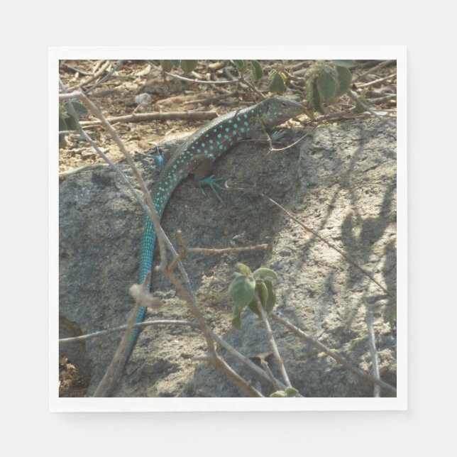 Serviette En Papier Aruba Whiptail Lizard Photographie d'animaux tropi (Devant)