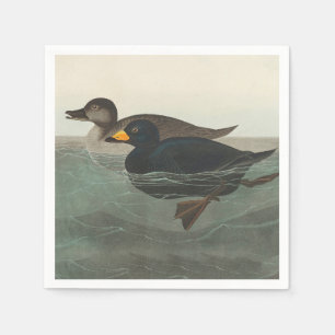Serviette En Papier Audubon American Scoter Duck Classic
