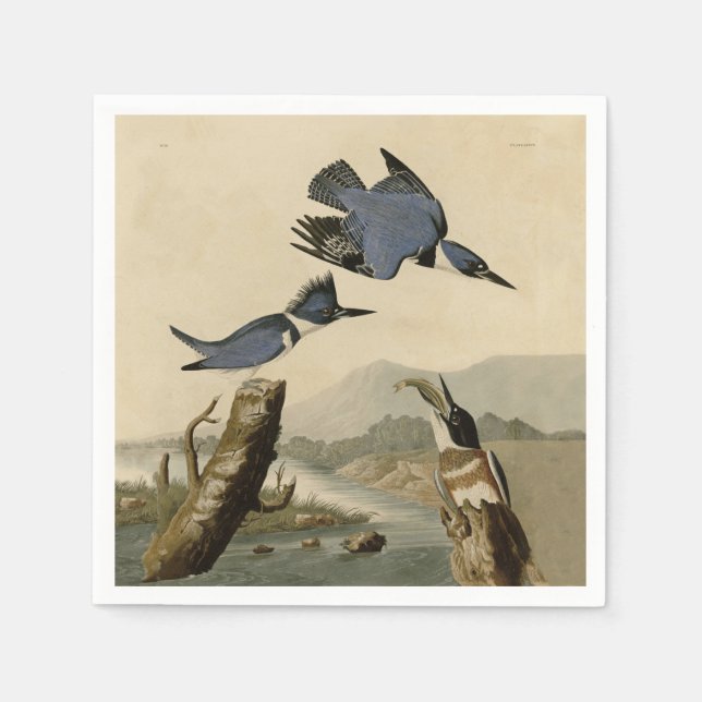 Serviette En Papier Audubon Belted Kingfisher Wildlife Bird (Devant)