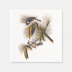 Serviette En Papier Audubon Crested Titmouse Cocktail Napkins