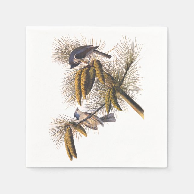 Serviette En Papier Audubon Crested Titmouse Cocktail Napkins (Devant)