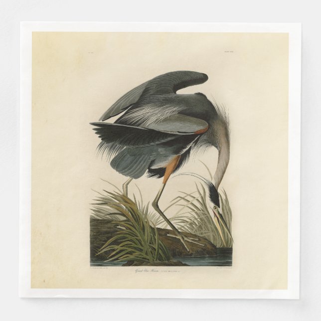 Serviette En Papier Audubon Great Blue Heron Marsh Bird (Devant)