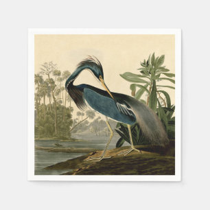 Serviette En Papier Audubon Héron de Louisiane Oiseaux Amérique Art