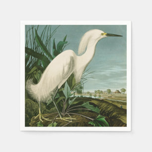 Serviette En Papier Audubon Héron de neige Oiseaux d'aigrettes blanche
