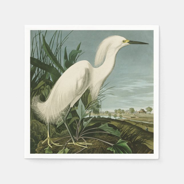 Serviette En Papier Audubon Héron de neige Oiseaux d'aigrettes blanche (Devant)