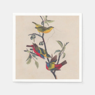 Serviette En Papier Audubon Peint Bunting Bird Wildlife