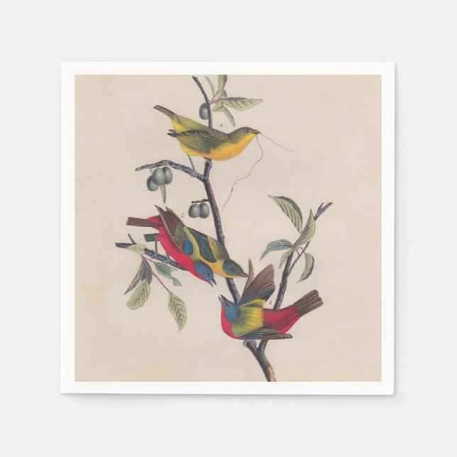 Serviette En Papier Audubon Peint Bunting Bird Wildlife (Devant)