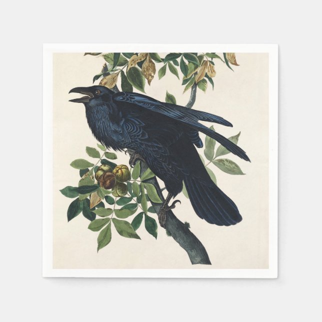Serviette En Papier Audubon Raven Bird Classic Peinture (Devant)