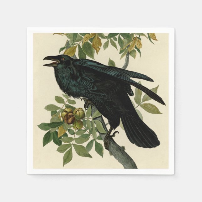 Serviette En Papier Audubon Raven Oiseau classique (Devant)