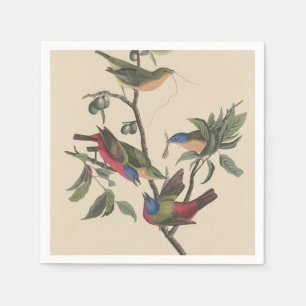 Serviette En Papier Audubon Vibrant Peint Bunting Faune Peinture