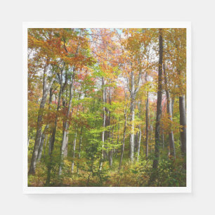 Serviette En Papier Automne Forêt I Automne Paysage Photographie