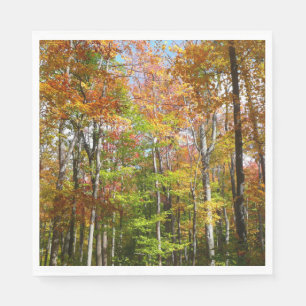 Serviette En Papier Automne Forêt II Automne Paysage Photographie