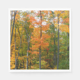 Serviette En Papier Automne Maple Trees Automne Photographie de la nat