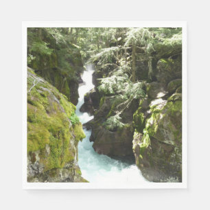 Serviette En Papier Avalanche Gorge II dans le parc national de Glacie